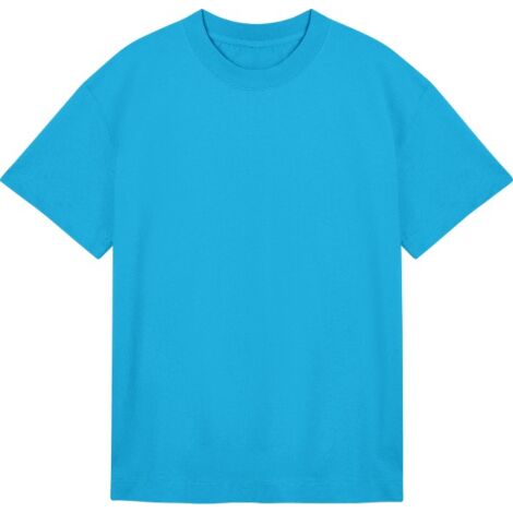 TrueBlanks - BOXY T-shirt Heren